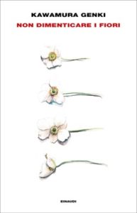 LEI E IL suo gatto - Makoto Shinkai, Naruki Nakagawa - Einaudi -  9788806247935 EUR 8,50 - PicClick IT