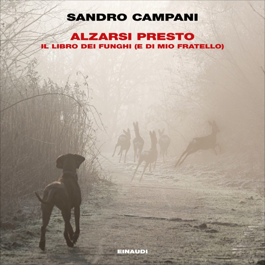 Copertina del libro Alzarsi presto di Sandro Campani