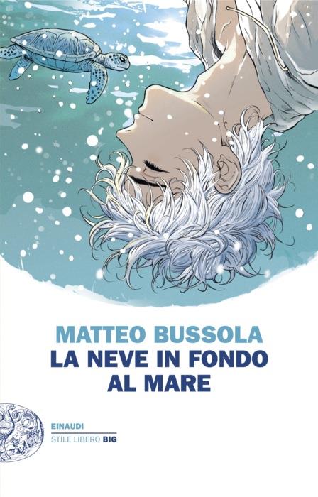 Copertina del libro La neve in fondo al mare di Matteo Bussola