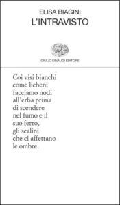 Copertina del libro L’intravisto di Elisa Biagini